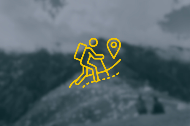Experienced Guides